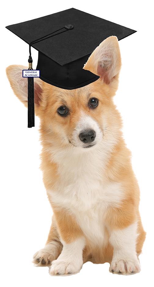 Texas High School Graduation Requirements, Explained