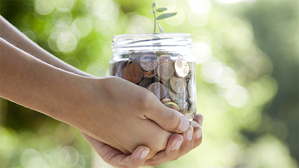 nurturing-hands-coins