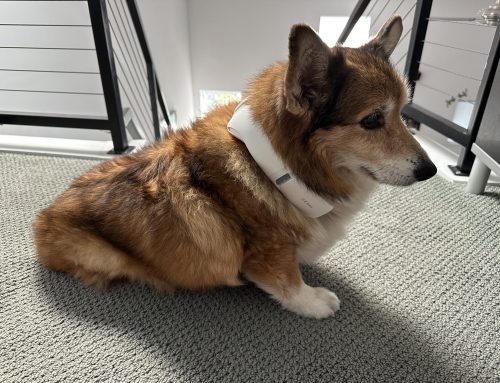 The Best Cooling Neck Fans to Beat the Heat