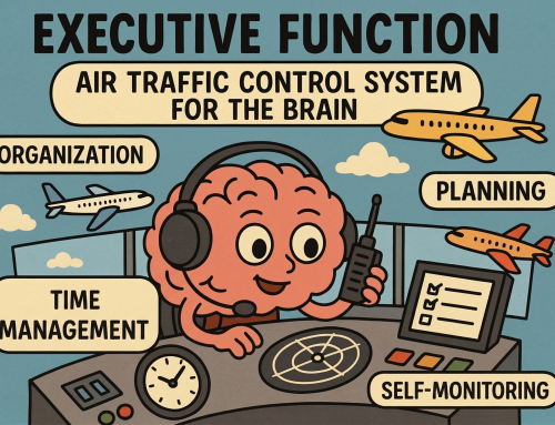 What is Executive Function and How Students Can Improve It