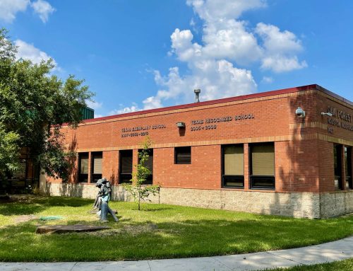 Houston’s Best Elementary and Middle Schools by STAAR Scores 2025