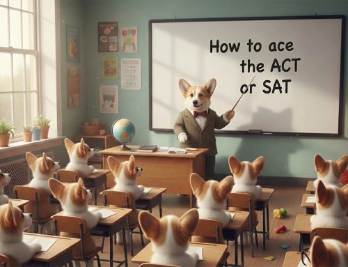 Watch our Animated Short, “Corgi Test Prep”